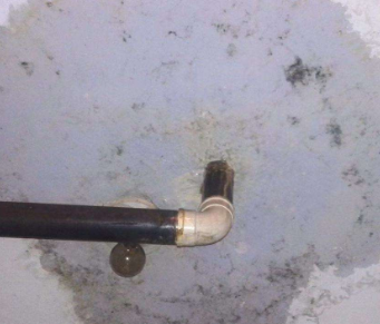 泊头卫生间防水哪家好