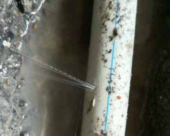 泊头卫生间测漏水多少钱